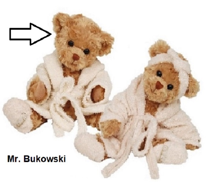 Prestatie Bliksem Een zin Bukowski beer Mr. Bukowski knuffel met badjas - www.Total-Luxury.nl